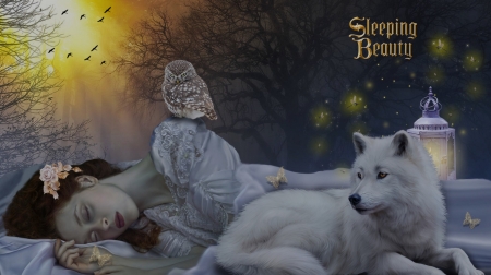 SLEEPING BEAUTY - WOLF, SLEEPING, DRESS, FEMALE, BUTTERFLIES, OWL