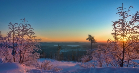 Winter Sunset - amazing, nature, snow, sunset