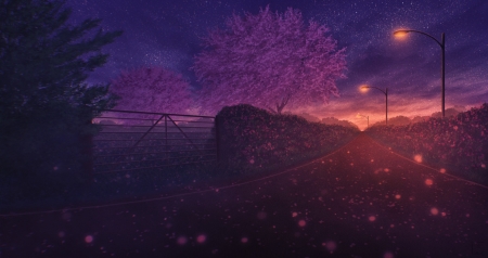 Street Lights - trees, gate, road, night, magical, stars, lights, street lights, sky