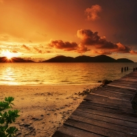 Marina Island 