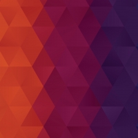 Warm Geometric Pattern