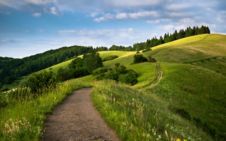 meadow - clouds, grass, green, hills, nature, road, trees