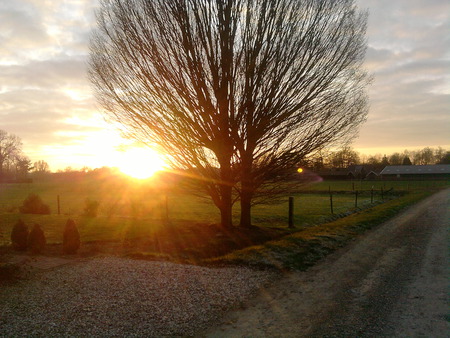 Sunset in the Netherlands - sky, dutch, winter, bleu, sunset, road, gras, netherlands, cold, tree