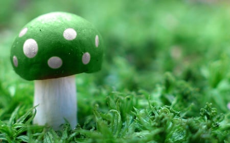 Green Mushroom - 3d and cg, abstract