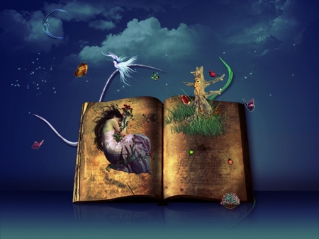 FAIRY BOOK