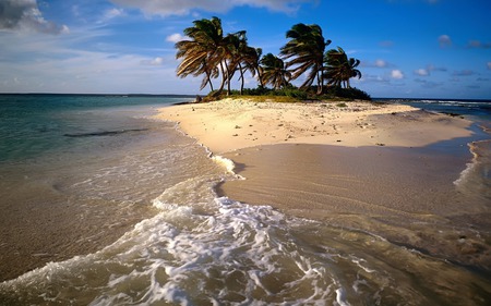 Tropical Island - island, nature