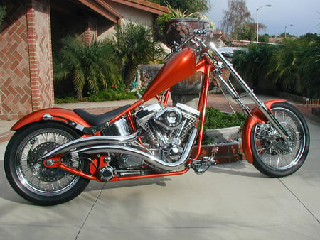 Harley Davidson, Daily Cruiser........ - motorcycles, harley davidson, choppers