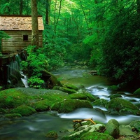 House in Forest River