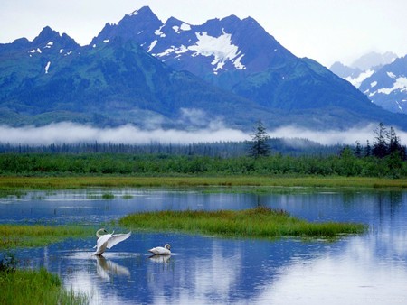 alaska - cool, alaska