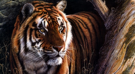 Beautiful tiger drawing - wild animals, drawing, nature, painting, tigers, art, animals, wildlife, wild, wallpaper, big cat