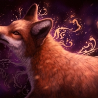 Fox by Jasmin Grohn