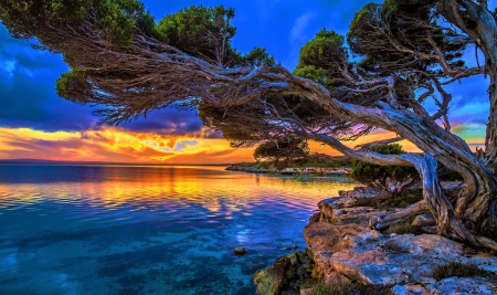 the lake breeze - lake, sky, sunset, tree
