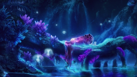 Night Fantasy - art, stars, wolf, digital