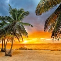 Beach in Key West