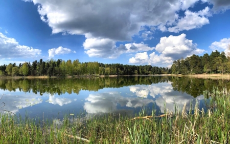 Lake in Latvia - calm, Latvia, clouds, lake