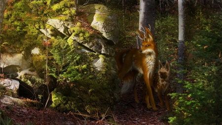 Creaures of the forest be Celina Campbell - creature, celina campbell, vulpe, fantasy, fox, luminos