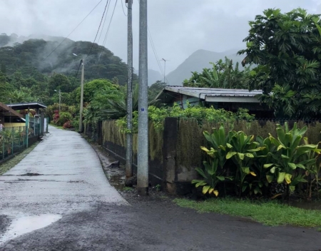 French Polynesia Tahiti - road, trees, French, Rural