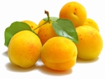 Apricots