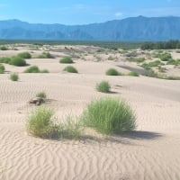 Dunes in Bilbao, Spain