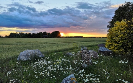 Field in Latvia - clouds, field, latvia, meadow, rocks