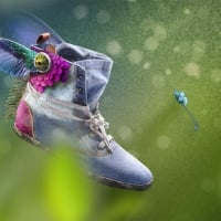 Spirits of Shoes by Alexandr Protasov