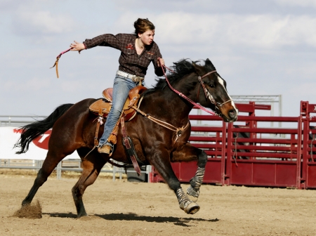 ♥ - cowgirl, rodeo, gallop, competition, fence, Horse