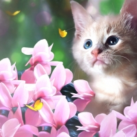 :)