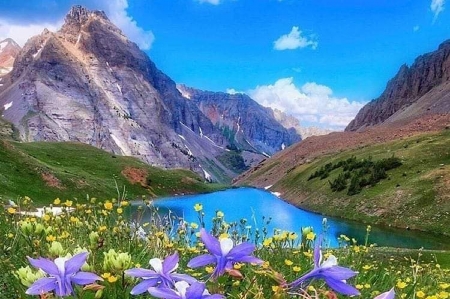 Outdoors - Flowers, Lake, Outdoors, Mountain