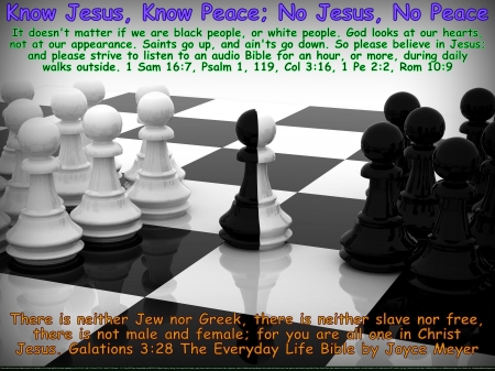 Peace for Black People, and White People 9 - calm, equality, serene, faith, peace, religious, self-control, justice, activsm, hope, racism, wisdom, protests, patience, riots, activists, love, occupy, black, white, positive change thorugh peaceful measures, chess, serenity, fairness