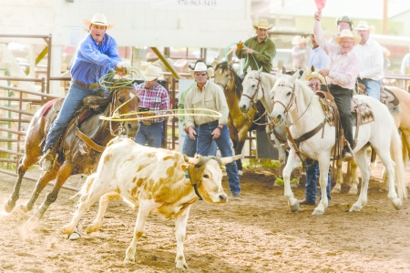 Anitimated Rodeo Team Roping