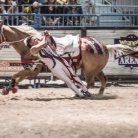 Real Cowgirl Trick Rider at Rodeo