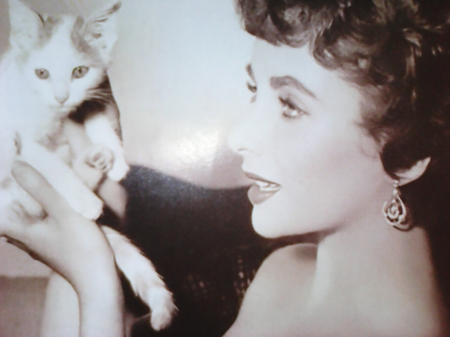 Actress and kitten