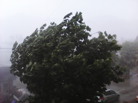 Summer tempest - summer, nature, rain, tempest