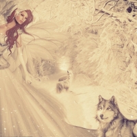 Lady and Her Wolves