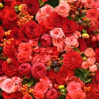 Background of flowers