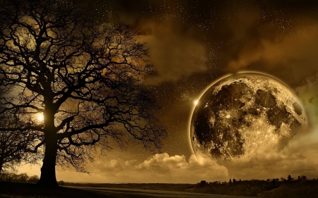 full moon - space, fun, cool, full moon, tree