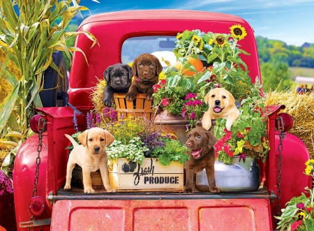 Stowaways - artwork, digital, car, dogs, flowers