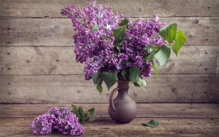 Lilacs