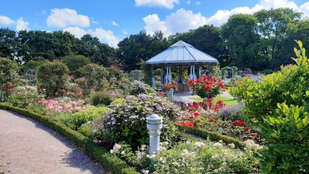 Flower Park - clouds, roses, trees, gazebo, sky