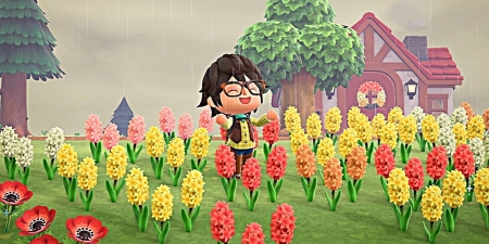 Animal Crossing Garden of Flowers - flowers, game, garden, village
