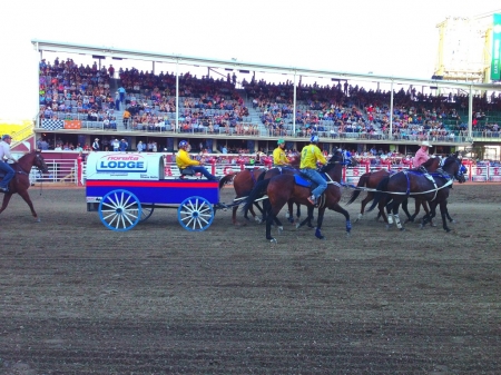 Chuck Wagon Stampede Calgary Canada - Spectators, Canada, Wagon, Cowboy, Horses, Calgary, Team, Race, Seat