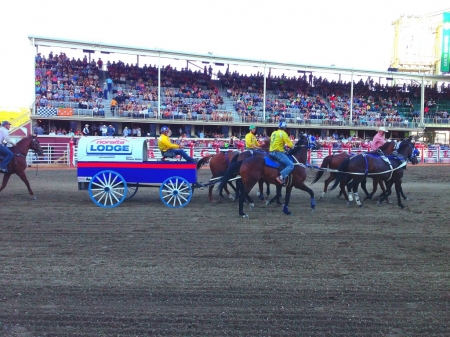 Chuck Wagon Stampede Calgary Canada - Spectators, Seat, Team, Cowboy, Wagon, Horses, Race, Canada, Calgary