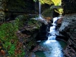 Moss Gorge in New York