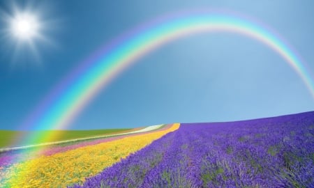 Somewhere Over the Rainbow - Yellow, Purple, Flowers, Rainbow, White, Blue Sky, Green, Colorful, Sun, Pink