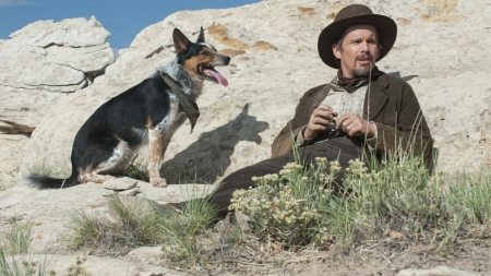 cowboy and his dog - dog, cowboy, rocks, wild west