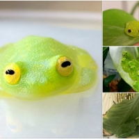 FROG COLLAGE