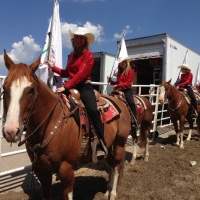 Cowgirl's at Stampede Rodeo Calgary