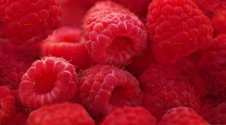 Raspberries macro - photography, wallpaper, berries, fruits, berry, food, raspberries, macro