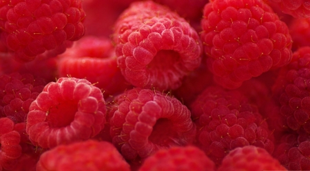 Raspberries macro