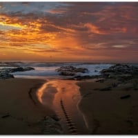 MALUA BAY, NSW, AUSTRALIA